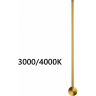 Настенный светильник ODEON LIGHT FILLINI 4335/12WGP
