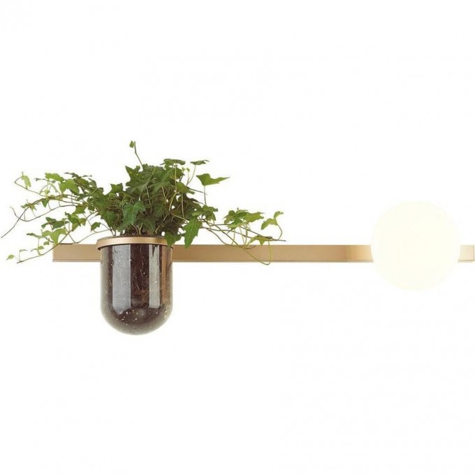 Настенный светильник ODEON LIGHT FLOWER 4682/1WA Настенный светильник ODEON LIGHT FLOWER 4682/1WA